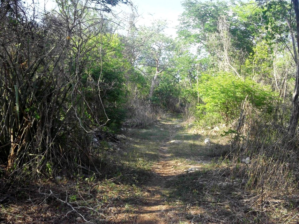 Xtobó, Yucatán (30)
