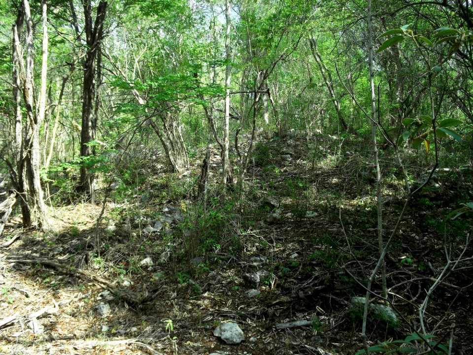 Xtobó, Yucatán (01)