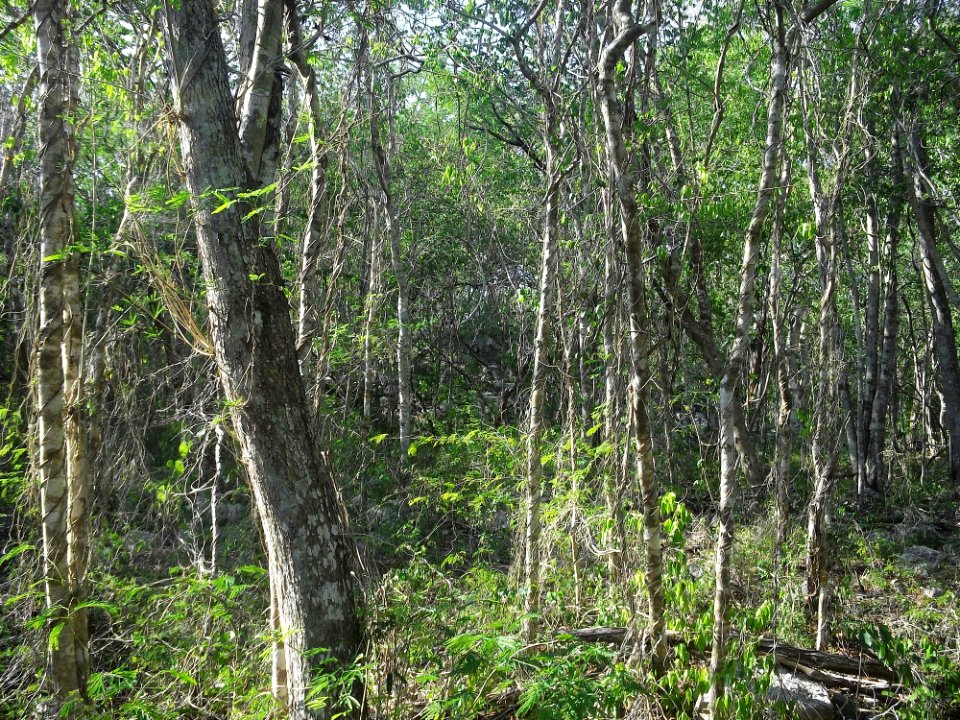 Xtobó, Yucatán (29)