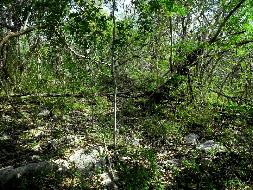 Xtobó, Yucatán (15)