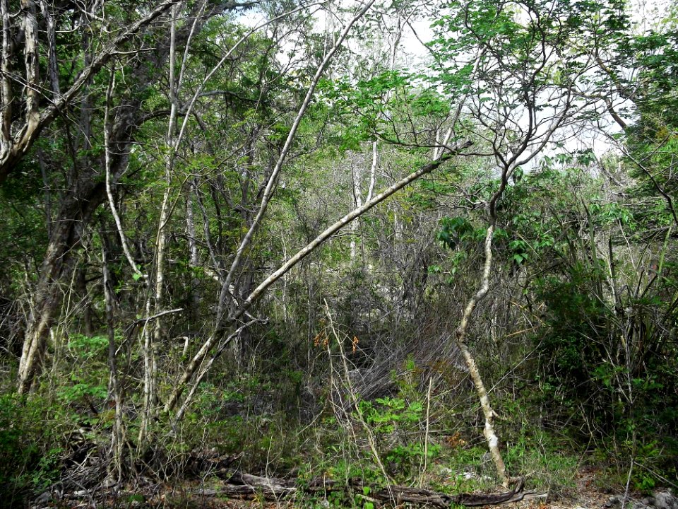 Xtobó, Yucatán (12)
