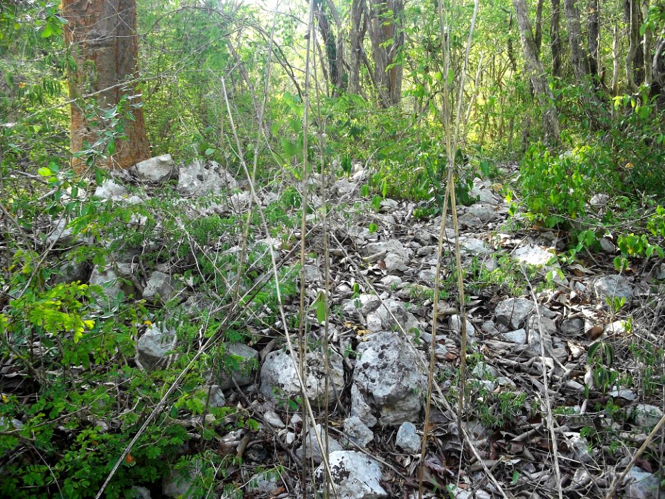Xtobó, Yucatán (32)