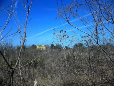 Xitibcanul, Yucatán (04)