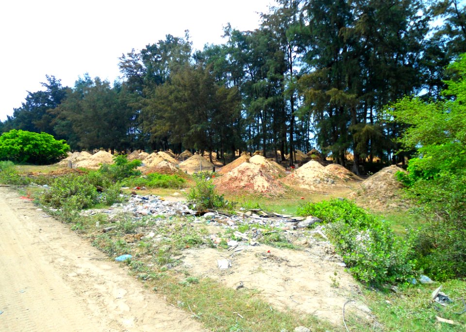 Xinbu Island - cemetery - 02