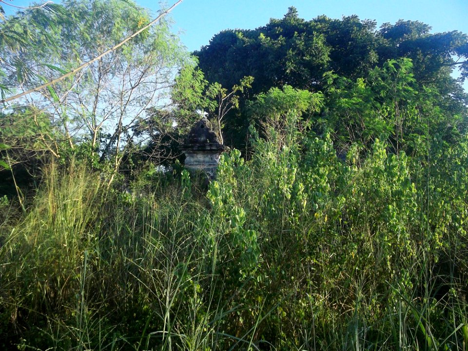 Xucú, Yucatán (02)