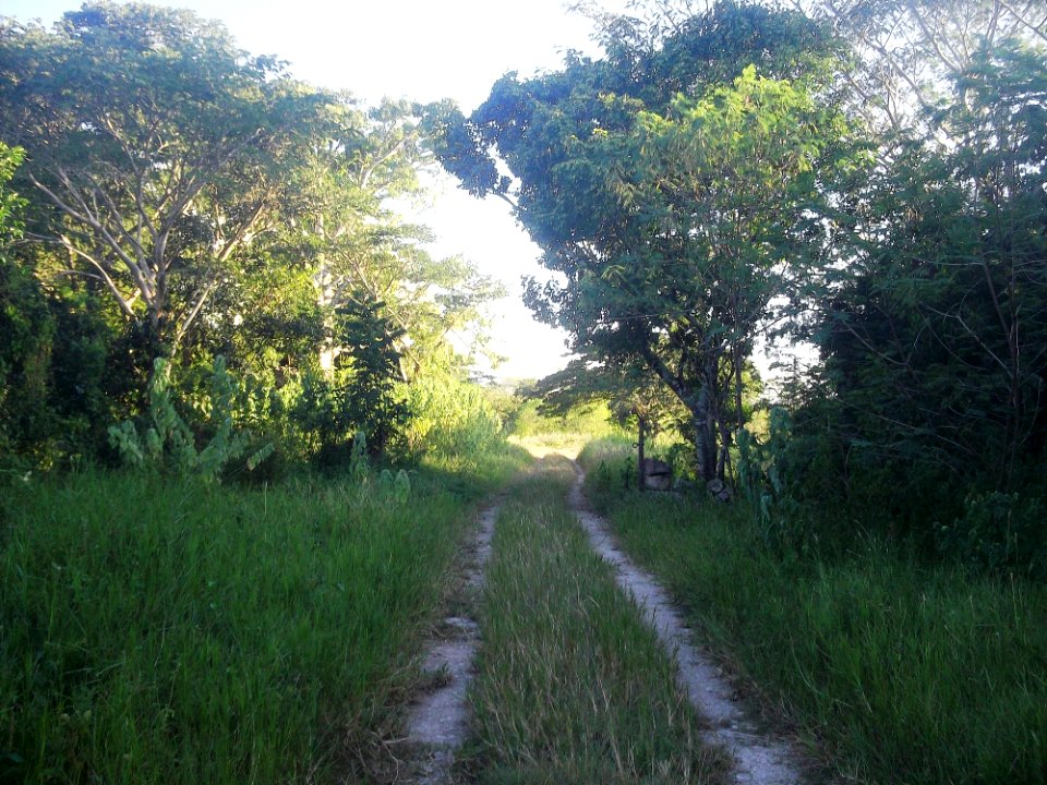 Xucú, Yucatán (10)