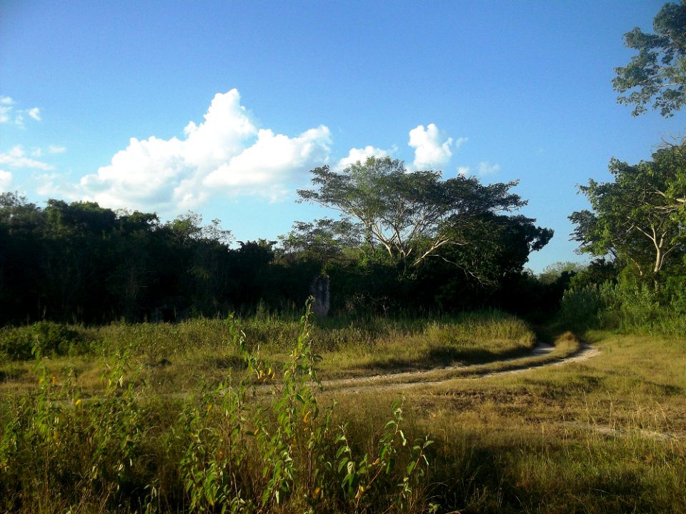 Xucú, Yucatán (15)