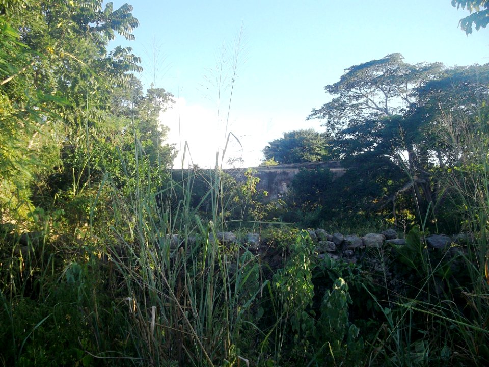 Xucú, Yucatán (03)