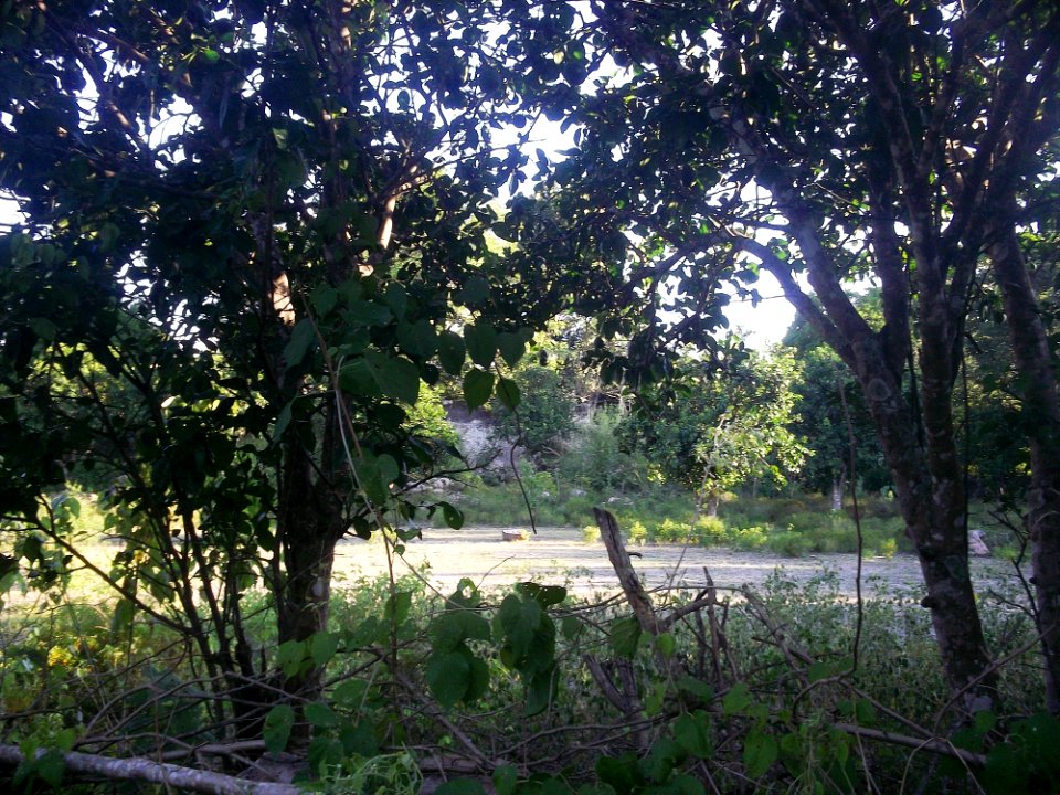 Xucú, Yucatán (08)