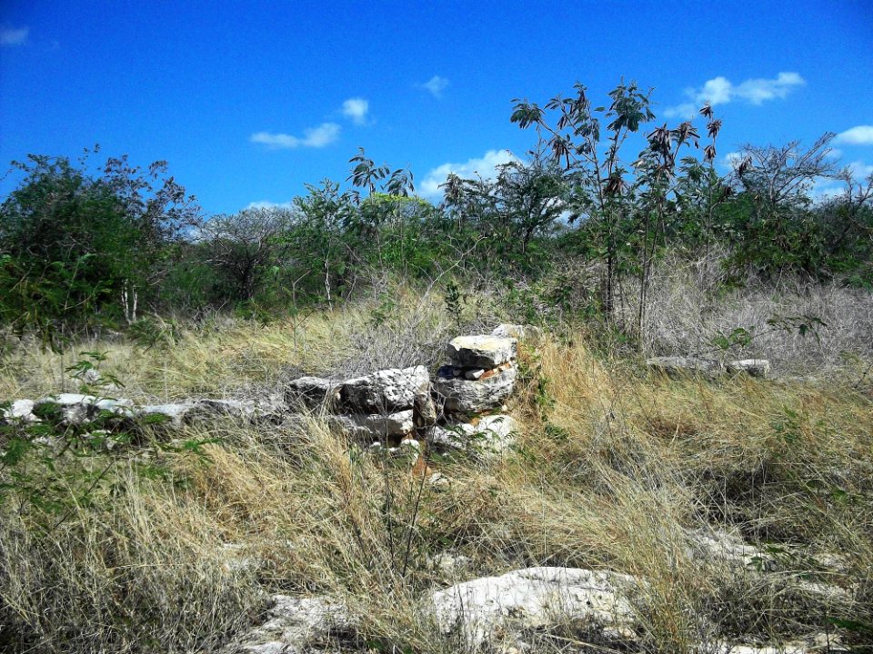 Xamán-Susulá, Mérida, Yucatán (16)
