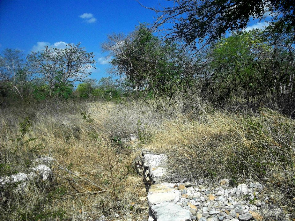 Xamán-Susulá, Mérida, Yucatán (10)