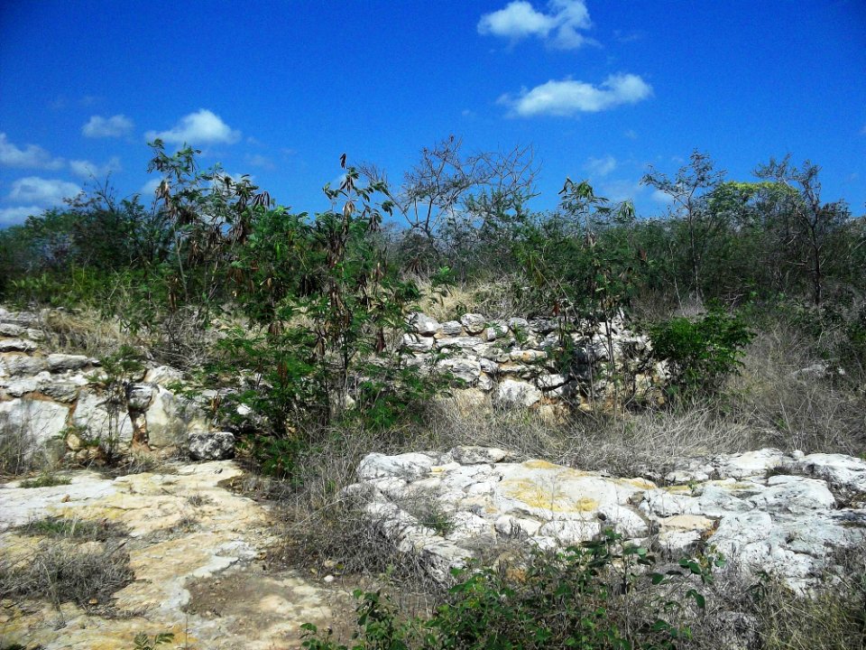 Xamán-Susulá, Mérida, Yucatán (06)