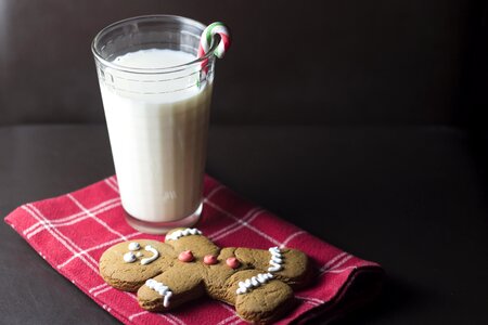 Candy cane santa photo