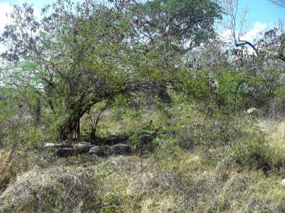 Xamán-Susulá, Mérida, Yucatán (17)