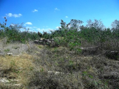 Xamán-Susulá, Mérida, Yucatán (15)