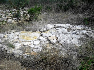 Xamán-Susulá, Mérida, Yucatán (07)