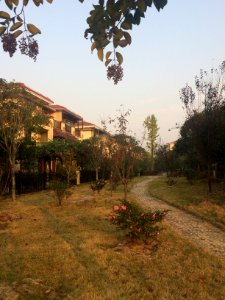 Xueyuan Community, Hunan Institute of Science and Technology, picture1