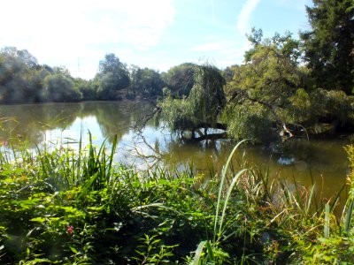 Wzwz würmmühlweiher 06
