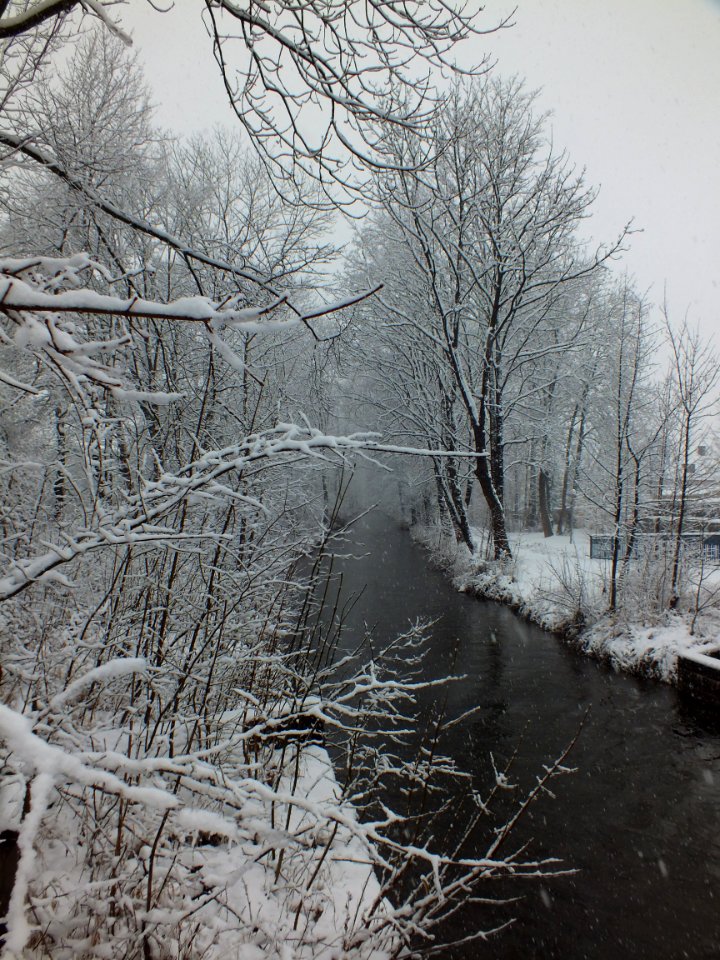 Wzwz Würmkanal 7d