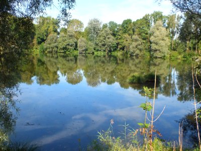 Wzwz würmmühlweiher 08