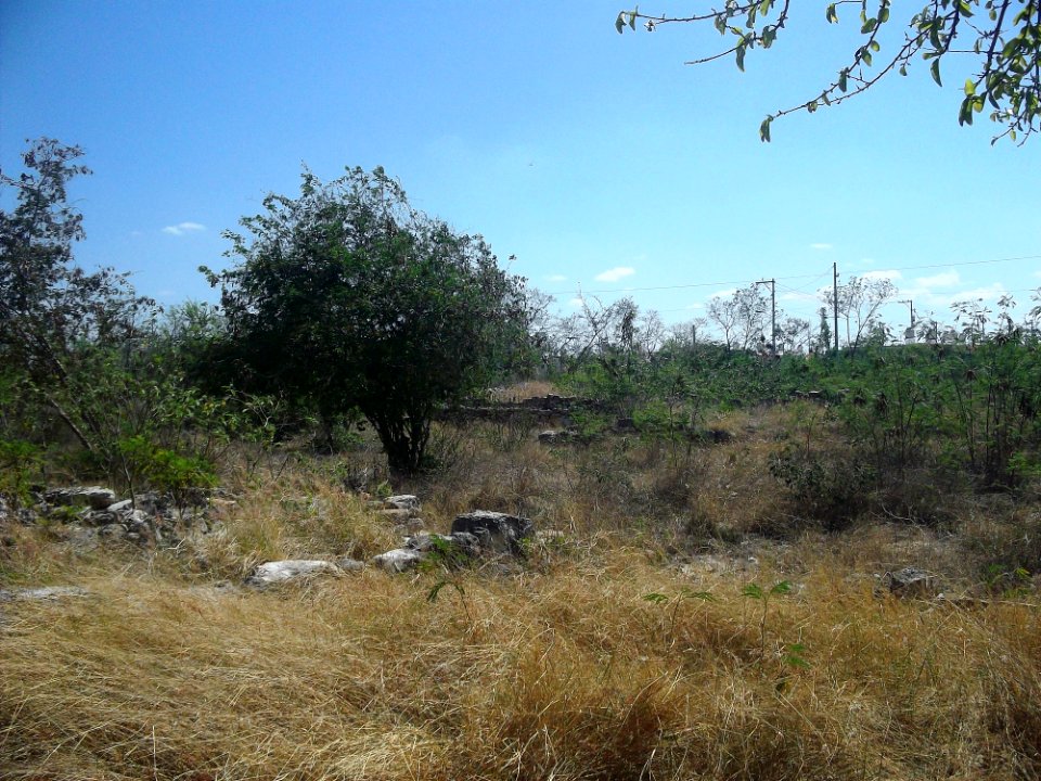 Xamán-Susulá, Mérida, Yucatán (12)