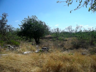 Xamán-Susulá, Mérida, Yucatán (12)