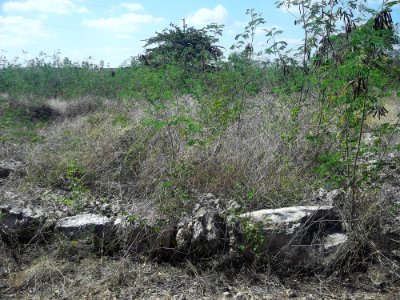 Xamán-Susulá, Mérida, Yucatán (05)