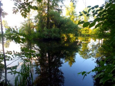 Wzwz Schwaigerbachweiher 13