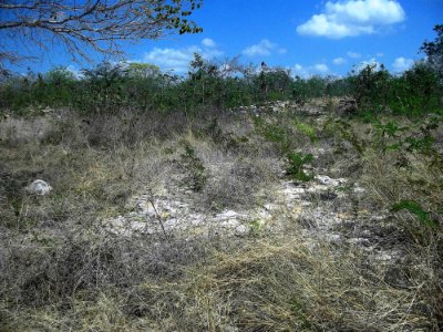 Xamán-Susulá, Mérida, Yucatán (02)