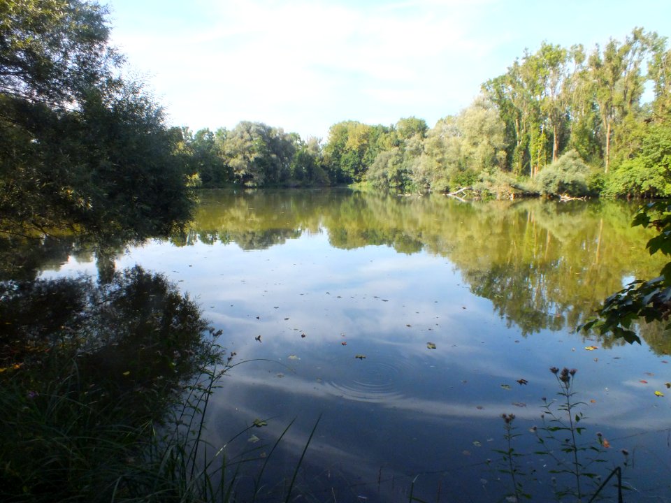 Wzwz würmmühlweiher 07