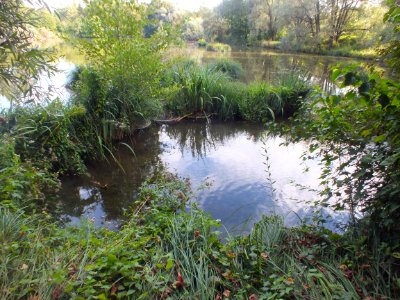 Wzwz würmmühlweiher 11