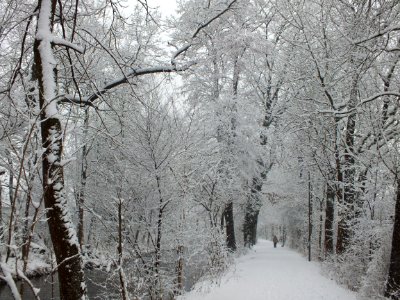 Wzwz Würmkanal 7a
