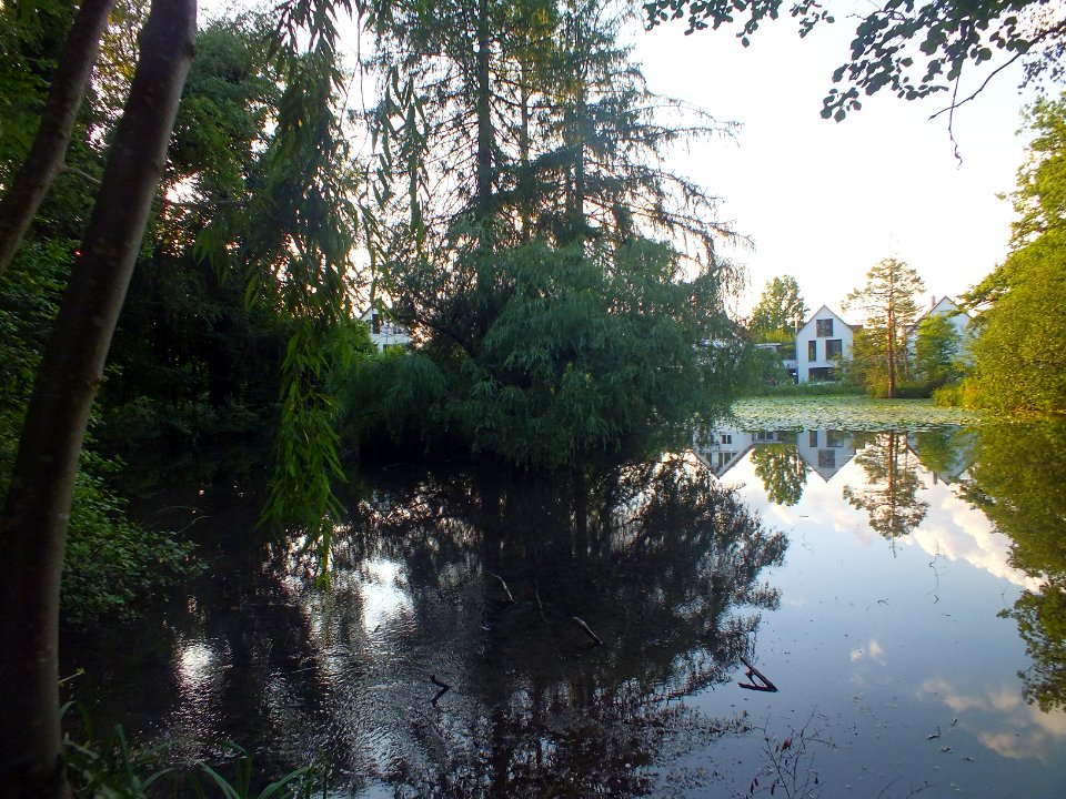 Wzwz Schwaigerbachweiher 14