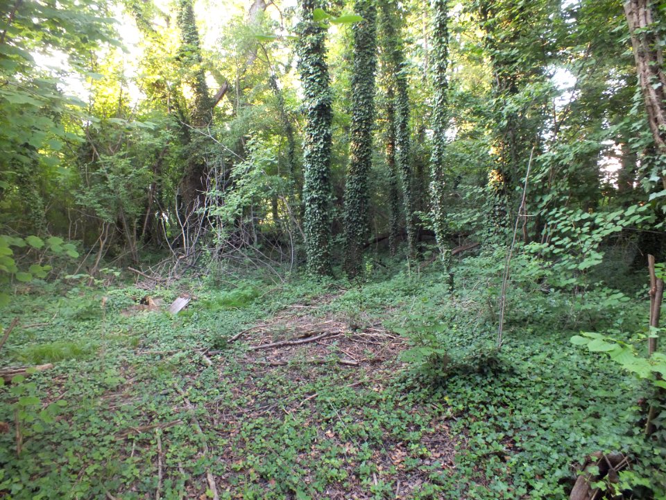 Wzwz Schwaigerbachweiher 05