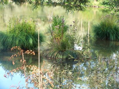 Wzwz würmmühlweiher 09
