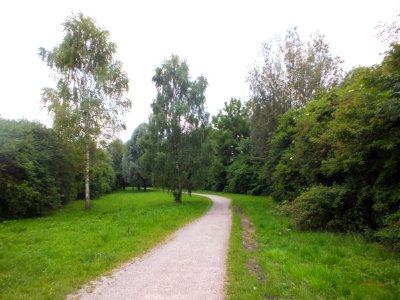 Wzwz Würm-Reschenbach-Aue 07