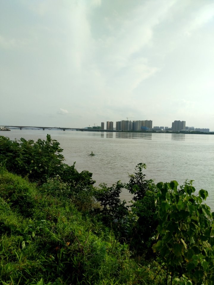 Xiangjiang River July 2017, picture1