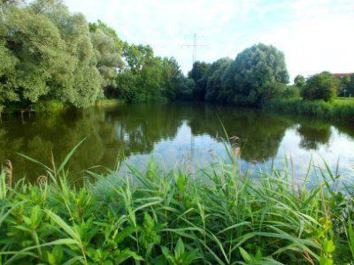 Wzwz Würm-Reschenbach-Aue 11
