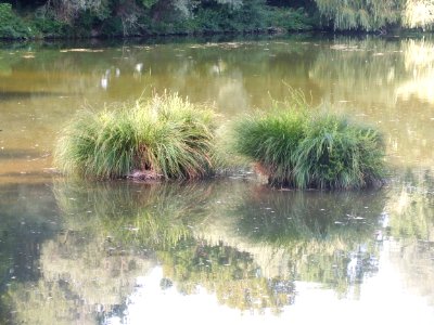 Wzwz würmmühlweiher 10