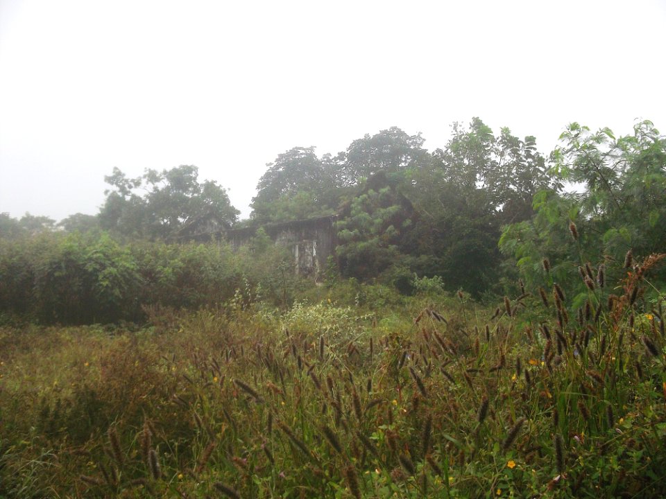Xcucul Sur, Yucatán (04)