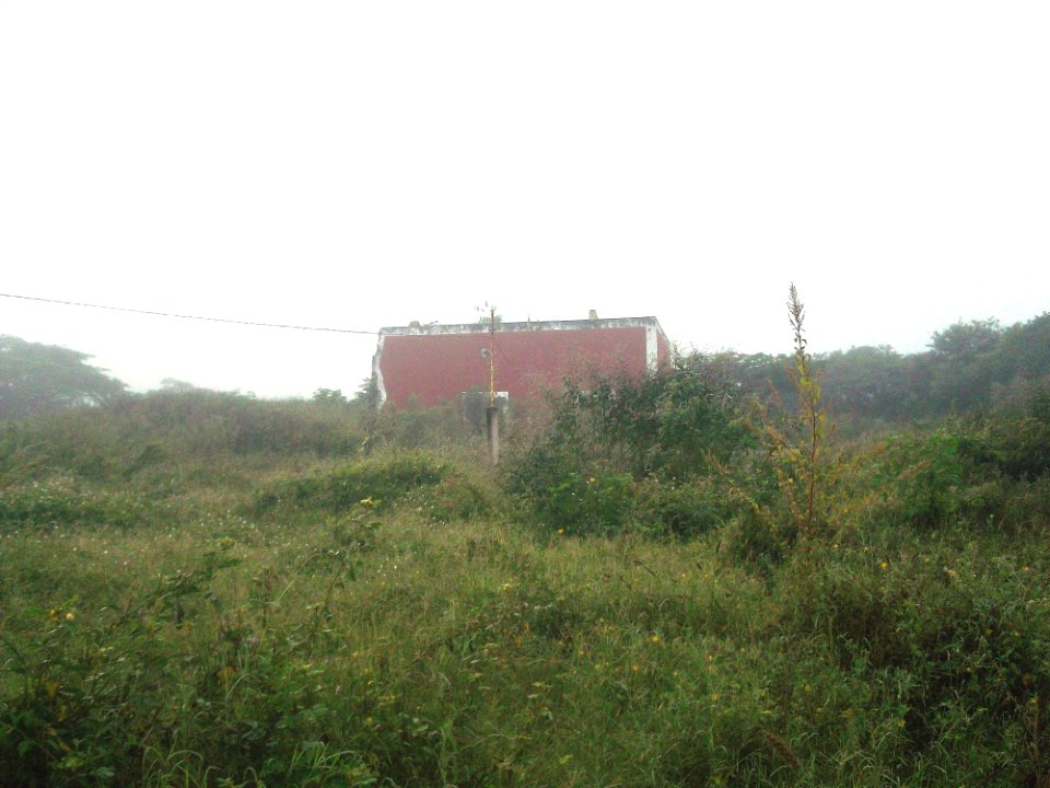 Xcucul Sur, Yucatán (03)
