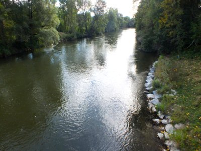 Wzwz würmmühlweiher 13