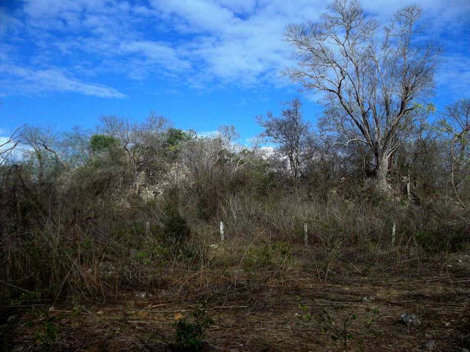 Xcatmil, Yucatán (12)