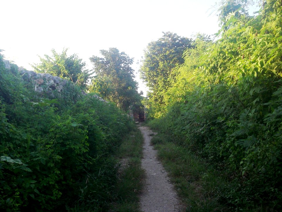 Xcehus, Yucatán (01)