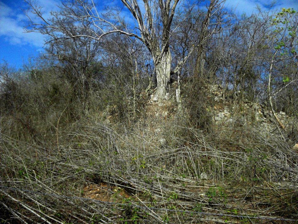 Xcatmil, Yucatán (09)