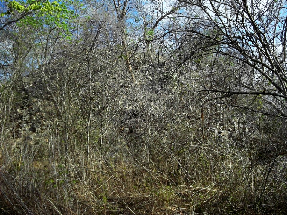 Xcatmil, Yucatán (04)
