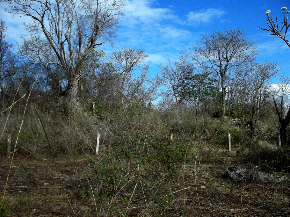 Xcatmil, Yucatán (10)