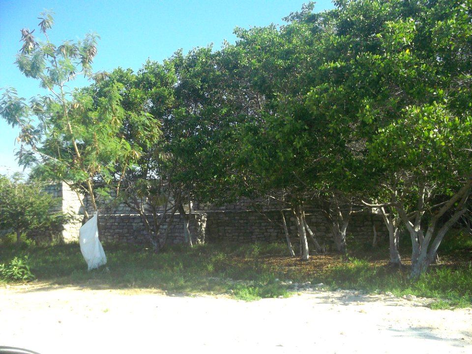 Xcambó, Yucatán (04)