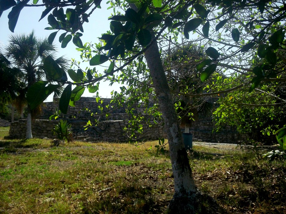 Xcambó, Yucatán (05)