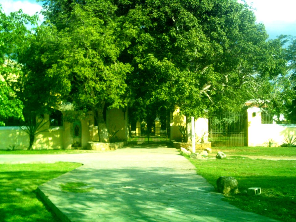 Xcanatún, Yucatán (03)